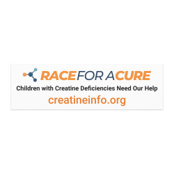 Race for a Cure Car Magnets