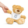 Creatine Champion Teddy Bear